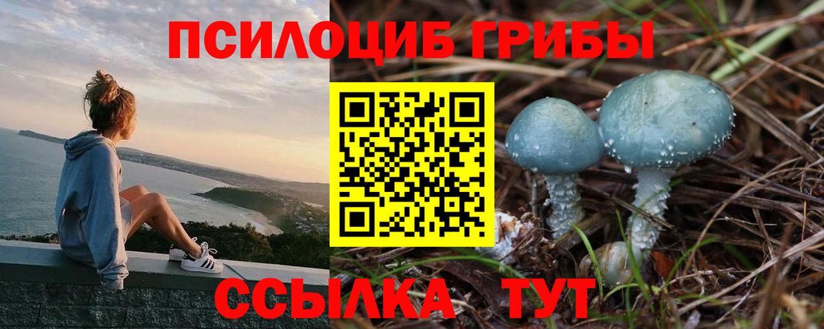 где купить наркоту  Галлюциногенные грибы Psilocybine cubensis  Вход с VPN  Прокопьевск  Псилоцибиновые грибы ЛСД 